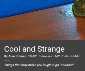 Cool and Strange collection follower count